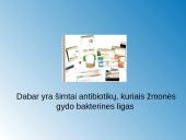 Žmonių populiacija 14 puslapis