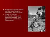 Žmonių teisių pažeidimai ir šeimų ardymas karo zonose 5 puslapis