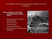 Žmonių teisių pažeidimai ir šeimų ardymas karo zonose 7 puslapis