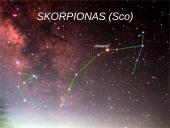 Žvaigždynai 16 puslapis