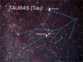 Žvaigždynai 18 puslapis