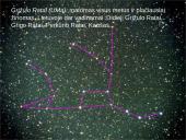 Žvaigždynai 8 puslapis