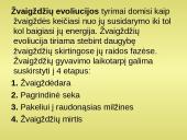 Žvaigždžių evoliucija 2 puslapis