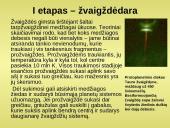 Žvaigždžių evoliucija 3 puslapis