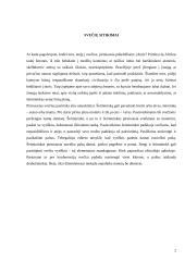 Vizitai tarptautinio bendravimo praktikoje  2 puslapis