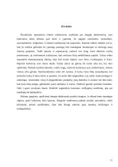 Vizitai tarptautinio bendravimo praktikoje  11 puslapis