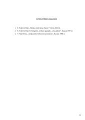 Vizitai tarptautinio bendravimo praktikoje  12 puslapis