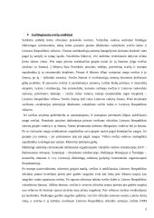 Vizitai tarptautinio bendravimo praktikoje  3 puslapis