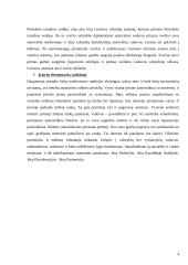 Vizitai tarptautinio bendravimo praktikoje  4 puslapis