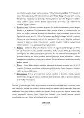 Vizitai tarptautinio bendravimo praktikoje  6 puslapis