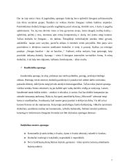 Vizitai tarptautinio bendravimo praktikoje  7 puslapis