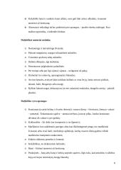 Vizitai tarptautinio bendravimo praktikoje  8 puslapis