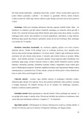 Vizitai tarptautinio bendravimo praktikoje  10 puslapis