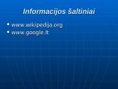 Algoritminės veiksmų sekos 12 puslapis