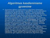 Algoritminės veiksmų sekos 5 puslapis