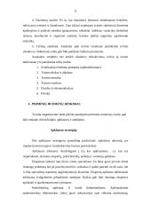 Alternatyvios tyrimų organizavimo teorijos 11 puslapis