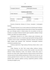 Alternatyvios tyrimų organizavimo teorijos 13 puslapis