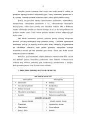 Alternatyvios tyrimų organizavimo teorijos 4 puslapis