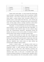 Alternatyvios tyrimų organizavimo teorijos 5 puslapis