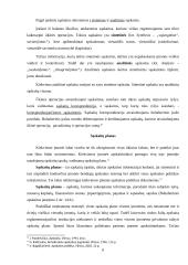 Apskaitos registrai, jų paskirtis. Sąskaitos, jų paskirtis. Sąskaitų planas, jo turinys 8 puslapis