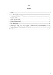 Bendras vidaus produktas (BVP) ir bendras nacionalinis produktas (BNP) 2 puslapis