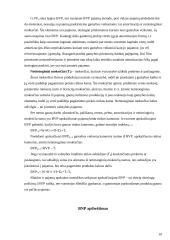 Bendras vidaus produktas (BVP) ir bendras nacionalinis produktas (BNP) 10 puslapis