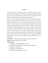 Bendrovės steigėjų teisės ir pareigos 2 puslapis