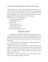 Bendrovės steigėjų teisės ir pareigos 5 puslapis