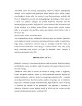 Bendrovės steigėjų teisės ir pareigos 7 puslapis