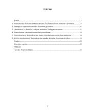 Centralizuotų ir decentralizuotų organizacijų pranašumų nustatymas: teorija ir praktika 2 puslapis