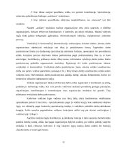 Centralizuotų ir decentralizuotų organizacijų pranašumų nustatymas: teorija ir praktika 12 puslapis