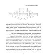 Centralizuotų ir decentralizuotų organizacijų pranašumų nustatymas: teorija ir praktika 17 puslapis