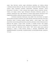 Centralizuotų ir decentralizuotų organizacijų pranašumų nustatymas: teorija ir praktika 18 puslapis