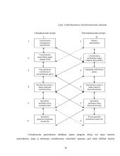 Centralizuotų ir decentralizuotų organizacijų pranašumų nustatymas: teorija ir praktika 20 puslapis
