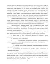 Centralizuotų ir decentralizuotų organizacijų pranašumų nustatymas: teorija ir praktika 5 puslapis