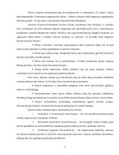 Centralizuotų ir decentralizuotų organizacijų pranašumų nustatymas: teorija ir praktika 6 puslapis