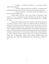 Centralizuotų ir decentralizuotų organizacijų pranašumų nustatymas: teorija ir praktika 7 puslapis