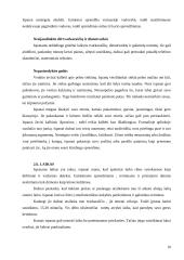 Dalykinės komunikacijos su Ispanija ypatumai 11 puslapis