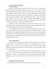 Dalykinės komunikacijos su Ispanija ypatumai 12 puslapis