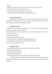 Dalykinės komunikacijos su Ispanija ypatumai 13 puslapis