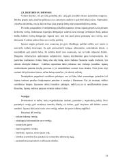 Dalykinės komunikacijos su Ispanija ypatumai 14 puslapis