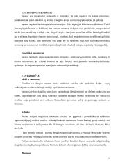 Dalykinės komunikacijos su Ispanija ypatumai 18 puslapis