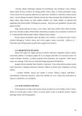 Dalykinės komunikacijos su Ispanija ypatumai 19 puslapis