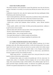 Dalykinės komunikacijos su Ispanija ypatumai 20 puslapis