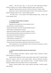 Dalykinės komunikacijos su Ispanija ypatumai 4 puslapis