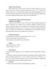 Dalykinės komunikacijos su Ispanija ypatumai 5 puslapis