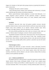 Dalykinės komunikacijos su Ispanija ypatumai 8 puslapis