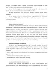 Dalykinės komunikacijos su Ispanija ypatumai 9 puslapis