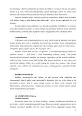 Dalykinės komunikacijos su Ispanija ypatumai 10 puslapis