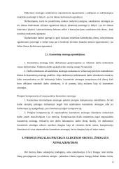 Darbuotojų saugos ir sveikatos tarnyba ir jos funkcijos 4 puslapis